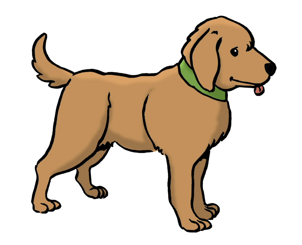 Ein Hund 