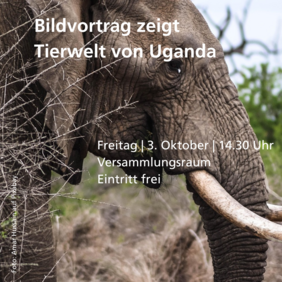 Bildvortrag über die Tierwelt von Uganda.
